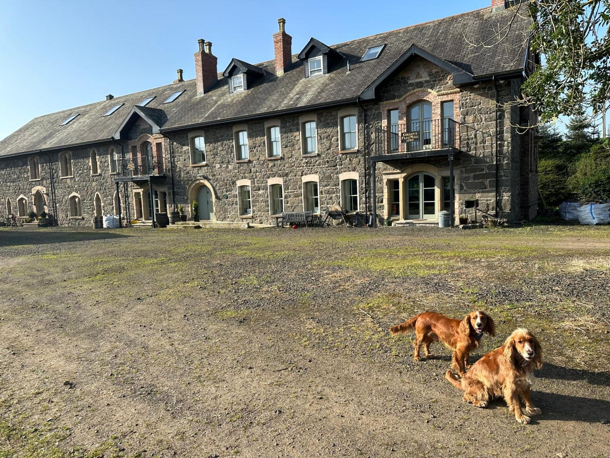 The Old Flax Mill Yoga Retreat Villa Coleraine Buitenkant foto