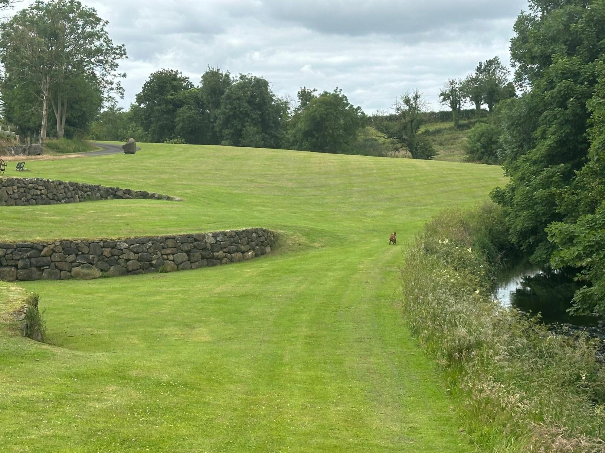 The Old Flax Mill Yoga Retreat Villa Coleraine Buitenkant foto